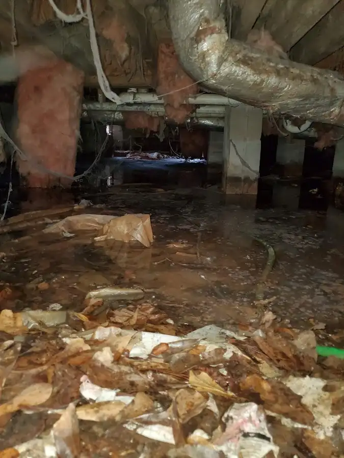 Crawl space flood assessment for Leak Detection & Repair in Niagara Falls