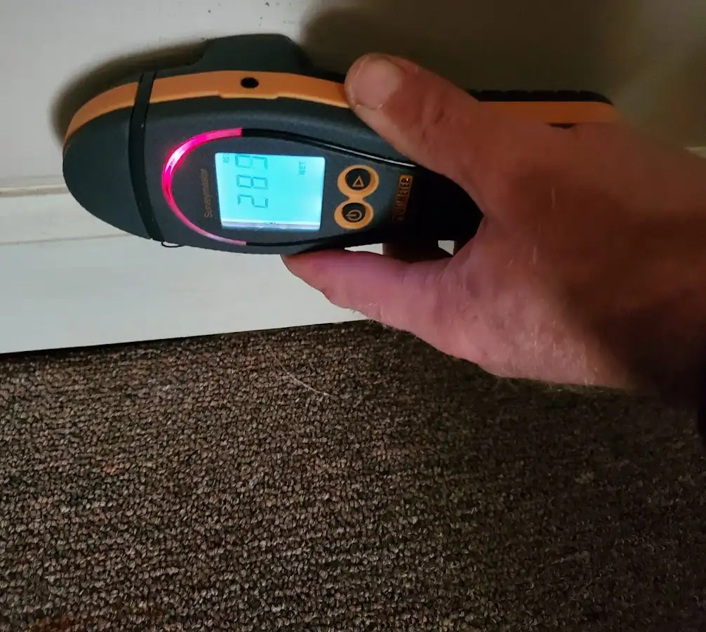 Moisture detection at baseboard during Mold Inspection & Testing in Niagara Falls